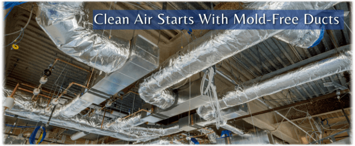 Air Duct Mold Removal in Bellaire TX