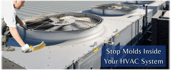 HVAC Mold Removal Bellaire TX